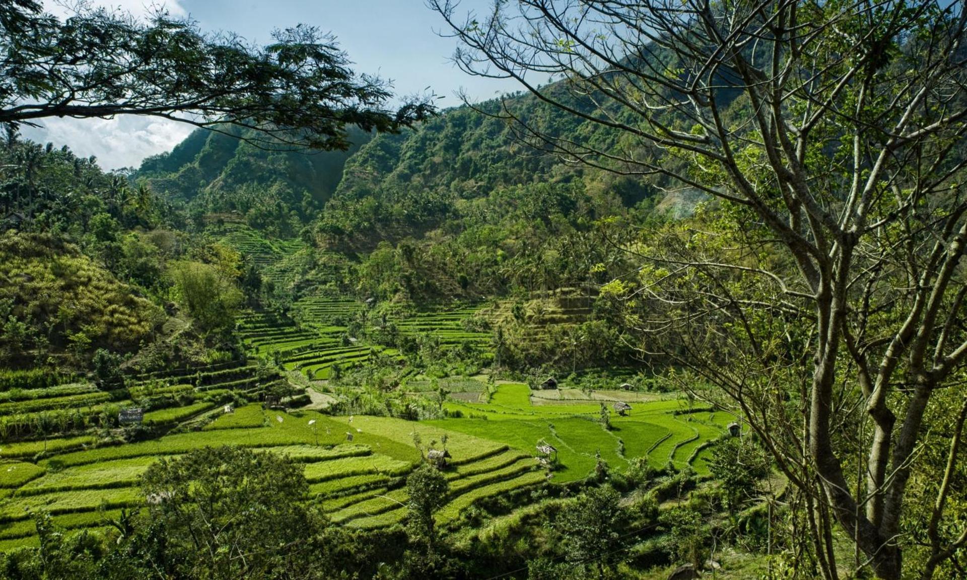 Retreat Villa Toraja Baturinggit Kubu Eksteriør bilde